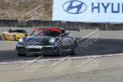 media/Aug-23-2024-Speed Ventures (Fri) [[92f1efc5e7]]/Red/Session 1 (Turn 3)/